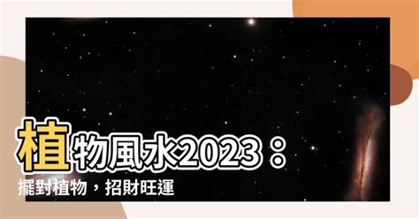 2023家居風水|2023年家居風水旺運指南